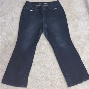 Lane Bryant Tighter Tummy Technology Jeans